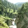 Gousiya nissa