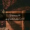 Mahwish shad