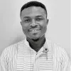 Engr Ebizimo Arabina