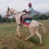 sekhar peddasanjeevigari
