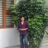Shahal
