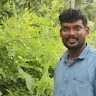 Ib kayippuam undefined
