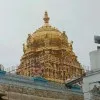 M Raj