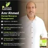 Amr Ahmed
