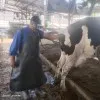 Rahul More