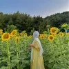Maram Swite