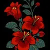 Dia Chaudhry