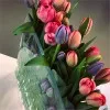 Luster Polite