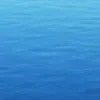 Arrad Anam