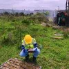 Klevis Llapushi