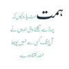 Fatima slic