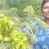 Sathya Sangeetha PhD