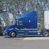 terry