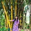 Anol Mariya Francis