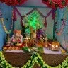 Shrikant Boora