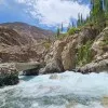 Mujtahid Mamoon Ali
