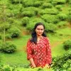 Pavithra