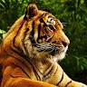 PRINCE MUGHAL love my YouTube freind
