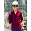 Alaa Hamed Omar