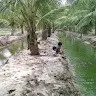 ramana palli