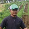 Khoirul Ardi Siregar