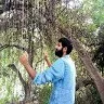 Suman Saurav
