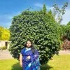 Adya Aditi Samal