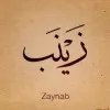 Zeinab Essam