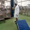 melvin ogungo