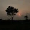 LAXMIPRIYA BASTIA