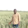 Olaolu Fawole