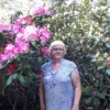 connie walker
