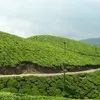 Kerala4you Holidays