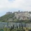 Yoowie