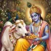 Kartik Trivedi