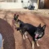Tina La Brake
