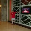 JOSE ANTONIO MURILLO RAMIREZ