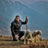 Mohammad Imtisal