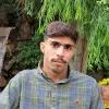 Hamed Kowsari