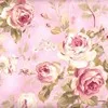 Bushra Al Hashmi