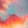 MEGHA KALRA