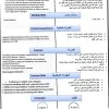 Mohamed Ahmed