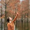 Isolde