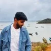 Palle Vivek