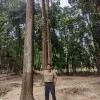 Syeikh Ilham Alkasiar