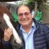 José Cordova