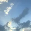 Heather Sky