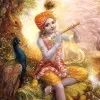 Muralee Krishna Pachala
