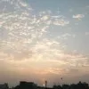 Rafia Qazi