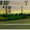 Shahab Saqib